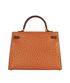 Kelly 35 In Tangerine/Cognac/Etrusque Ostrich, back view